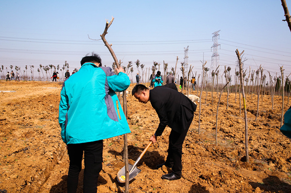 “攜手植樹，共創(chuàng)藍(lán)天”丨南京新華師生共筑新華育才林