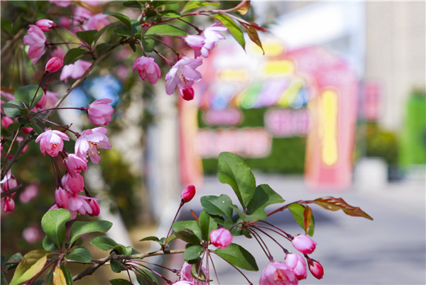 春暖花開，等你歸來——邀你云賞南新春景，以慰思念